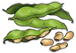Экстракт бобов